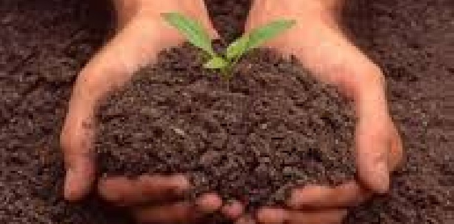 Despus de 30 aos el gobierno definir la situacin dominial de Parcelas Ganaderas en Ro Colorado